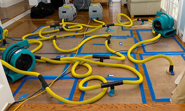 Professional Water Damage Restoration technician working in Niagara, WI